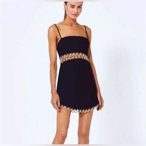 Alexis Gaudy Black Dress